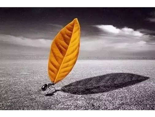 馮唐：成大事者，必經的3個階段