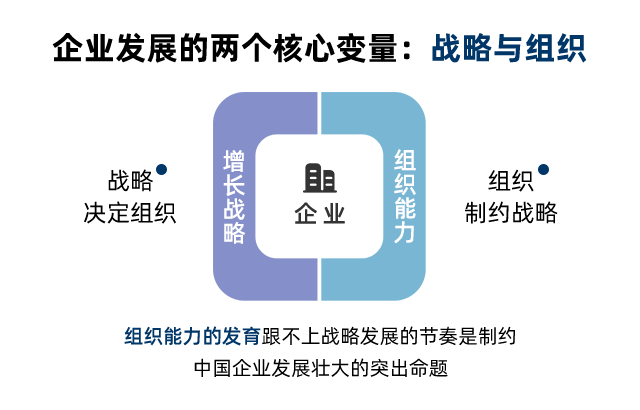 QCD專題訓練的含義